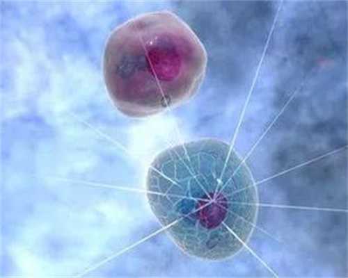 苏州助孕多少费用啊，苏州供卵收费多少钱,苏州试管婴儿做一次多少钱？来看价钱明细！